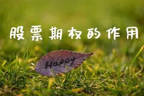 股票期权的作用_https://wap.letulww.com_融资租赁_第1张