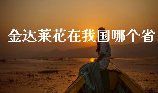 金达莱花在我国哪个省_https://wap.letulww.com_外汇交易_第1张