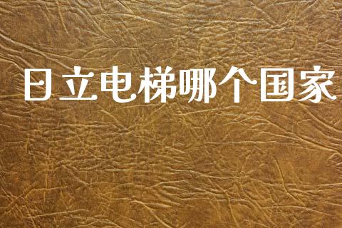 日立电梯哪个国家_https://wap.letulww.com_外汇交易_第1张