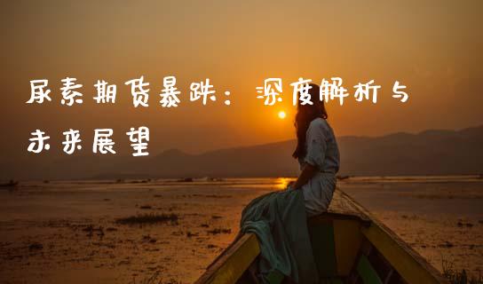 尿素期货暴跌：深度解析与未来展望_https://wap.letulww.com_投资策略_第1张