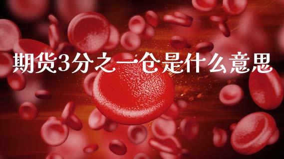 期货3分之一仓是什么意思_https://wap.letulww.com_外汇交易_第1张
