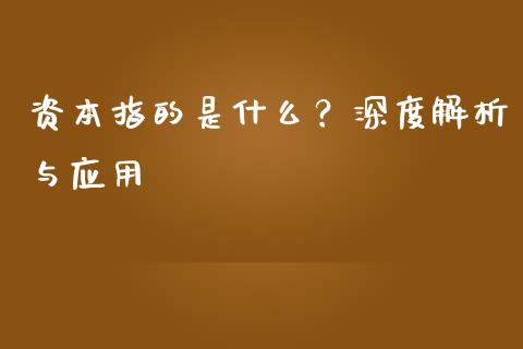 资本指的是什么？深度解析与应用_https://wap.letulww.com_投资管理_第1张