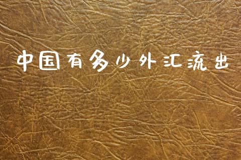 中国有多少外汇流出_https://wap.letulww.com_投资管理_第1张