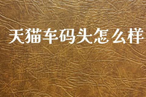 天猫车码头怎么样_https://wap.letulww.com_融资租赁_第1张
