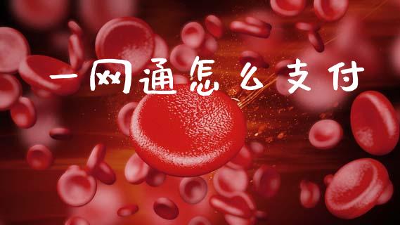 一网通怎么支付_https://wap.letulww.com_投资策略_第1张