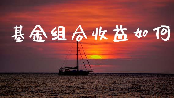 基金组合收益如何_https://wap.letulww.com_投资策略_第1张