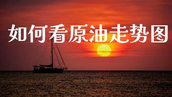 如何看原油走势图_https://wap.letulww.com_投资管理_第1张
