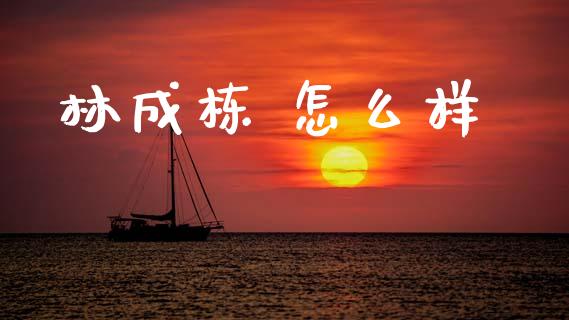 林成栋 怎么样_https://wap.letulww.com_融资租赁_第1张