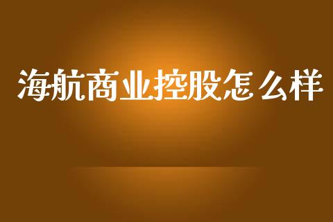 海航商业控股怎么样_https://wap.letulww.com_投资策略_第1张