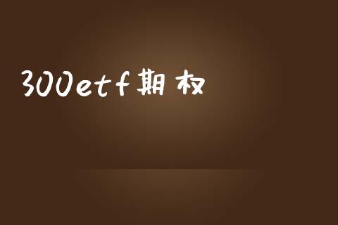 300etf期权_https://wap.letulww.com_投资策略_第1张