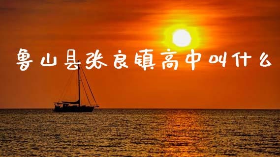 鲁山县张良镇高中叫什么_https://wap.letulww.com_外汇交易_第1张