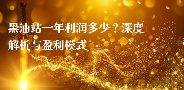 黑油站一年利润多少？深度解析与盈利模式_https://wap.letulww.com_融资租赁_第1张