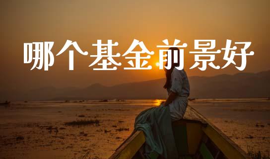 哪个基金前景好_https://wap.letulww.com_外汇交易_第1张