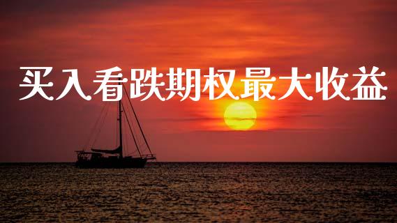 买入看跌期权最大收益_https://wap.letulww.com_外汇交易_第1张