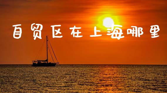 自贸区在上海哪里_https://wap.letulww.com_投资管理_第1张