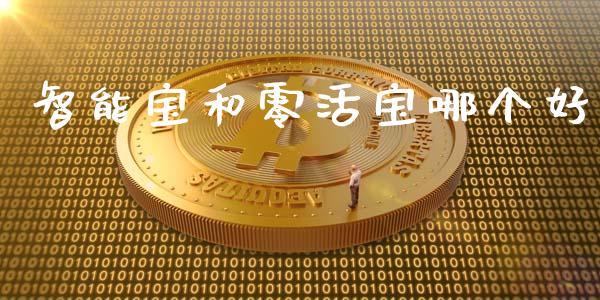 智能宝和零活宝哪个好_https://wap.letulww.com_融资租赁_第1张