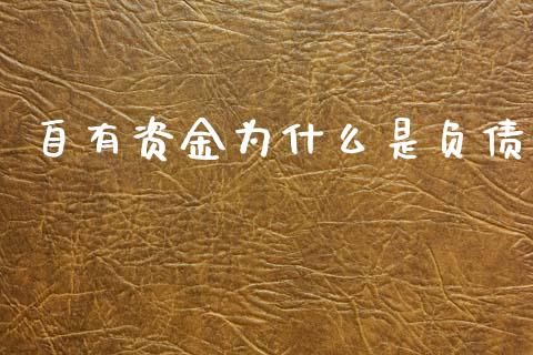 自有资金为什么是负债_https://wap.letulww.com_投资管理_第1张