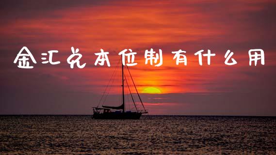 金汇兑本位制有什么用_https://wap.letulww.com_外汇交易_第1张