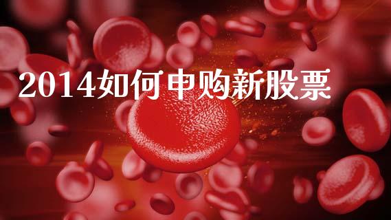 2014如何申购新股票_https://wap.letulww.com_融资租赁_第1张