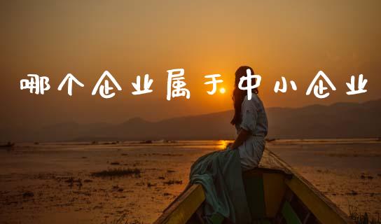 哪个企业属于中小企业_https://wap.letulww.com_投资管理_第1张