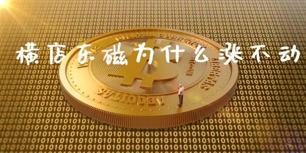 横店东磁为什么涨不动_https://wap.letulww.com_投资管理_第1张