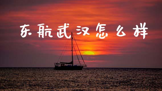 东航武汉怎么样_https://wap.letulww.com_外汇交易_第1张