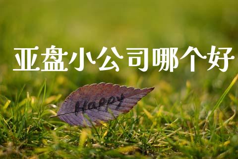 亚盘小公司哪个好_https://wap.letulww.com_融资租赁_第1张
