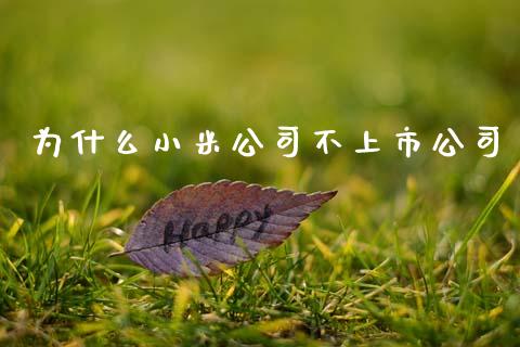 为什么小米公司不上市公司_https://wap.letulww.com_投资管理_第1张