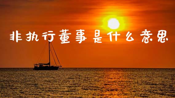 非执行董事是什么意思_https://wap.letulww.com_投资策略_第1张