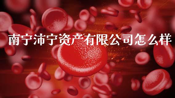 南宁沛宁资产有限公司怎么样_https://wap.letulww.com_融资租赁_第1张