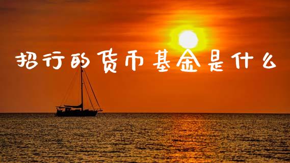 招行的货币基金是什么_https://wap.letulww.com_融资租赁_第1张