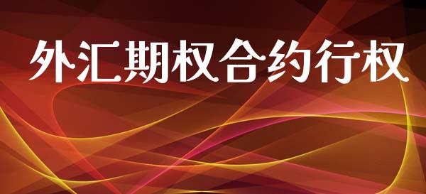 外汇期权合约行权_https://wap.letulww.com_融资租赁_第1张
