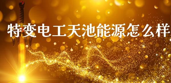 特变电工天池能源怎么样_https://wap.letulww.com_投资管理_第1张