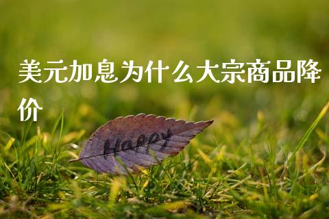 美元加息为什么大宗商品降价_https://wap.letulww.com_投资策略_第1张