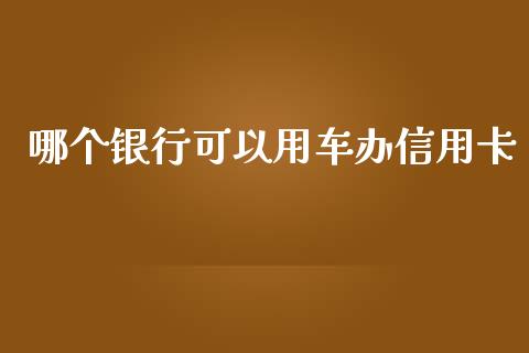 哪个银行可以用车办信用卡_https://wap.letulww.com_投资管理_第1张