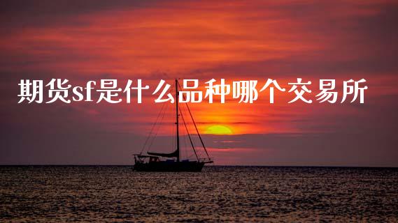 期货sf是什么品种哪个交易所_https://wap.letulww.com_投资管理_第1张