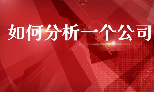 如何分析一个公司_https://wap.letulww.com_投资管理_第1张