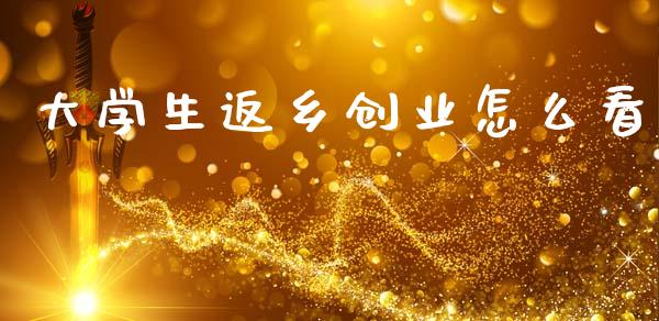 大学生返乡创业怎么看_https://wap.letulww.com_投资管理_第1张