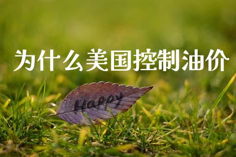 为什么美国控制油价_https://wap.letulww.com_外汇交易_第1张
