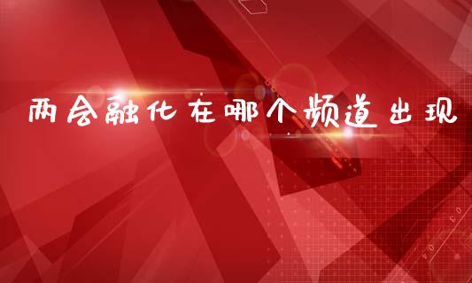 两会融化在哪个频道出现_https://wap.letulww.com_投资策略_第1张