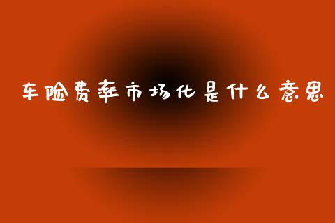 车险费率市场化是什么意思_https://wap.letulww.com_投资策略_第1张