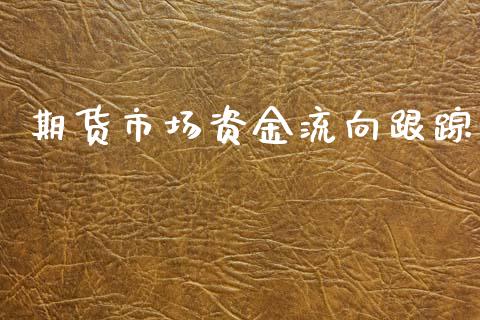 期货市场资金流向跟踪_https://wap.letulww.com_外汇交易_第1张