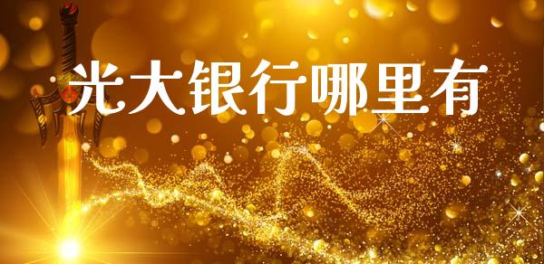 光大银行哪里有_https://wap.letulww.com_投资管理_第1张