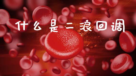 什么是二浪回调_https://wap.letulww.com_融资租赁_第1张