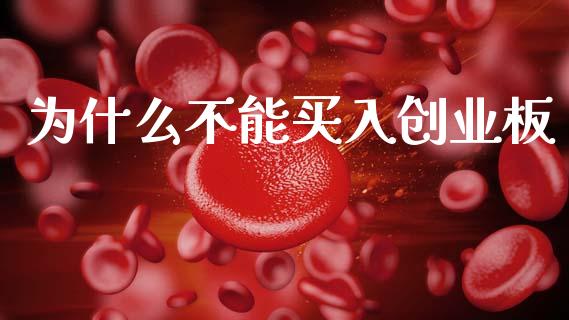 为什么不能买入创业板_https://wap.letulww.com_投资管理_第1张