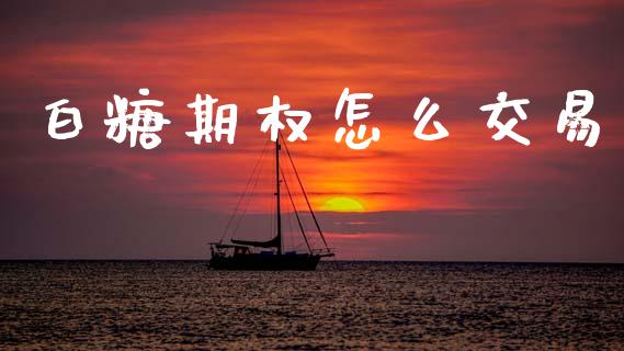 白糖期权怎么交易_https://wap.letulww.com_投资策略_第1张