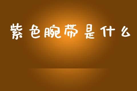 紫色腕带是什么_https://wap.letulww.com_融资租赁_第1张