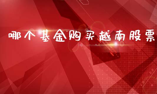 哪个基金购买越南股票_https://wap.letulww.com_投资策略_第1张