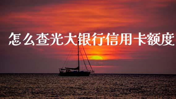 怎么查光大银行信用卡额度_https://wap.letulww.com_投资策略_第1张