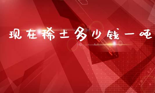 现在稀土多少钱一吨_https://wap.letulww.com_外汇交易_第1张